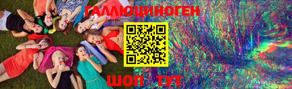 Галлюциногенные грибы Psilocybine cubensis Егорьевск