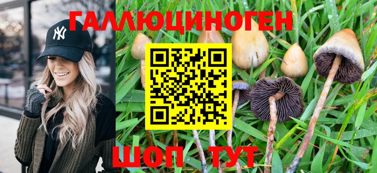 Галлюциногенные грибы Magic Shrooms  Вход с VPN  Егорьевск 